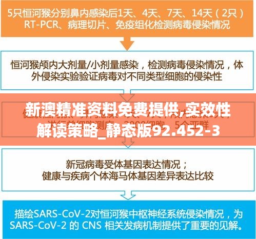 新澳精准资料免费提供,实效性解读策略_静态版92.452-3