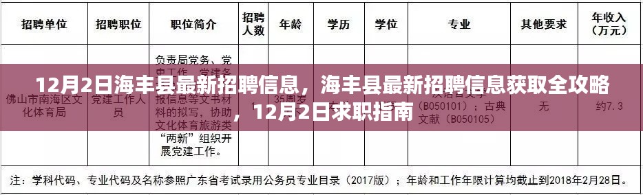 12月2日海丰县最新招聘信息，海丰县最新招聘信息获取全攻略，12月2日求职指南