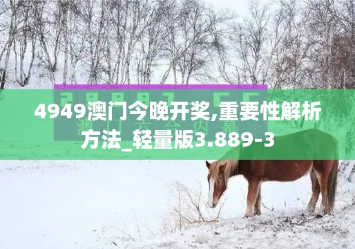 4949澳门今晚开奖,重要性解析方法_轻量版3.889-3