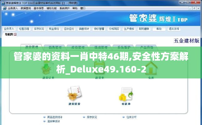 管家婆的资料一肖中特46期,安全性方案解析_Deluxe49.160-2