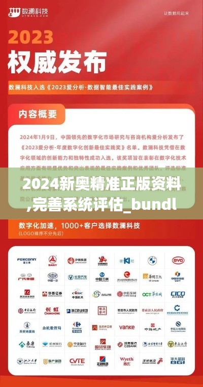 2024新奥精准正版资料,完善系统评估_bundle55.685-5