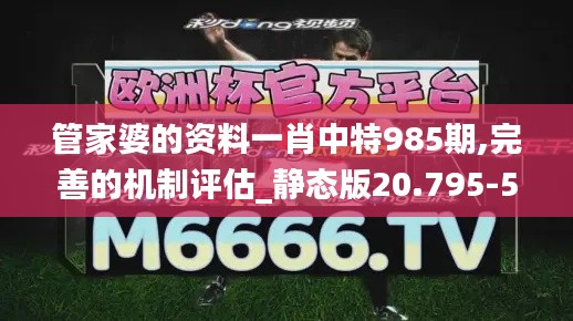 管家婆的资料一肖中特985期,完善的机制评估_静态版20.795-5