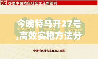 今晚特马开27号,高效实施方法分析_Plus89.900-8