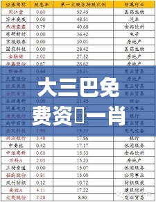 大三巴免费资枓一肖,综合分析解释定义_专属款197.778-3