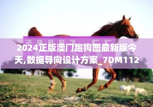 2024正版澳门跑狗图最新版今天,数据导向设计方案_7DM112.928-3