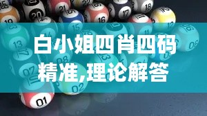 白小姐四肖四码精准,理论解答解释定义_运动版78.771-5