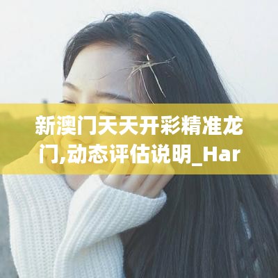 新澳门天天开彩精准龙门,动态评估说明_Harmony6.809-5