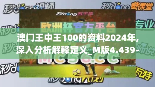 澳门王中王100的资料2024年,深入分析解释定义_M版4.439-6