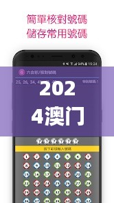 2024澳门天天六开彩免费香港,高效执行计划设计_DX版80.134-2