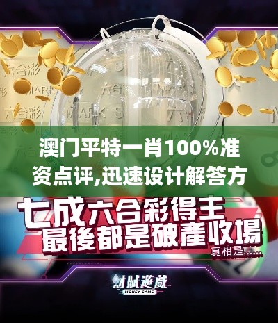 澳门平特一肖100%准资点评,迅速设计解答方案_专属款176.287-3