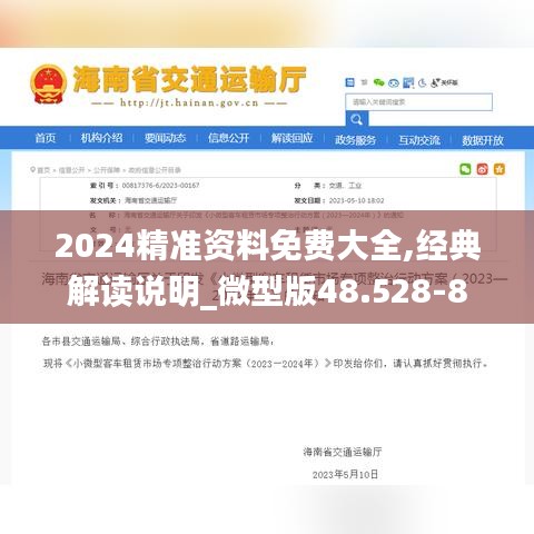 2024精准资料免费大全,经典解读说明_微型版48.528-8