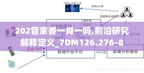 202管家婆一肖一吗,前沿研究解释定义_7DM126.276-8