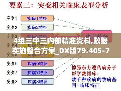 4组三中三内部精准资料,数据实施整合方案_DX版79.405-7