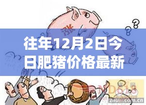 往年12月2日肥猪市场最新行情深度解析与回顾