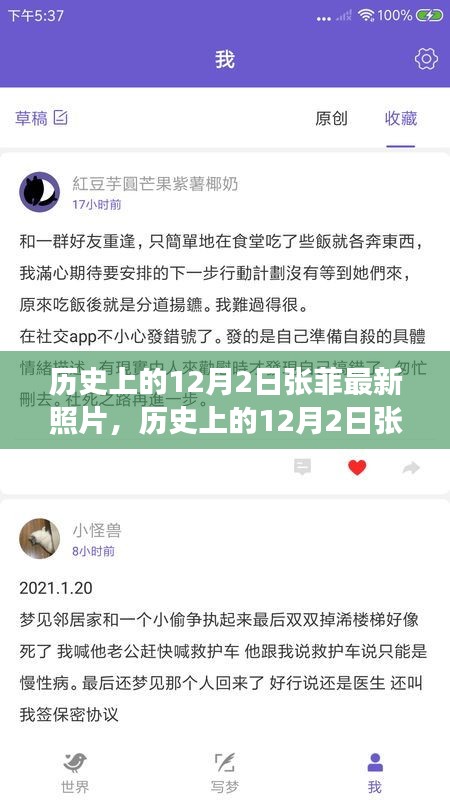 探寻张菲在时间印记下的最新面貌，历史上的12月2日最新照片回顾