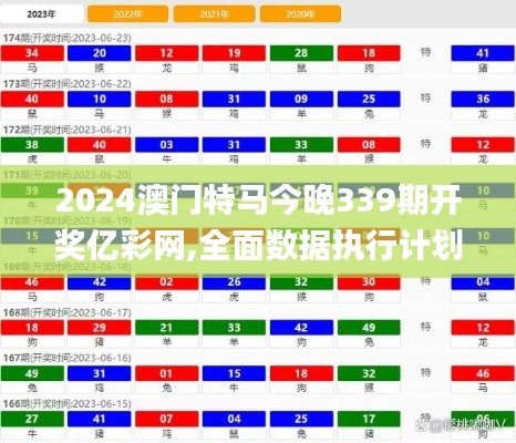 2024澳门特马今晚339期开奖亿彩网,全面数据执行计划_轻量版62.231-5