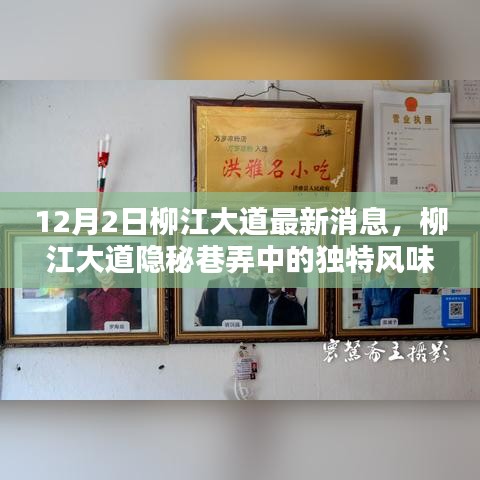 柳江大道小巷特色小店新探，隐秘风味揭秘