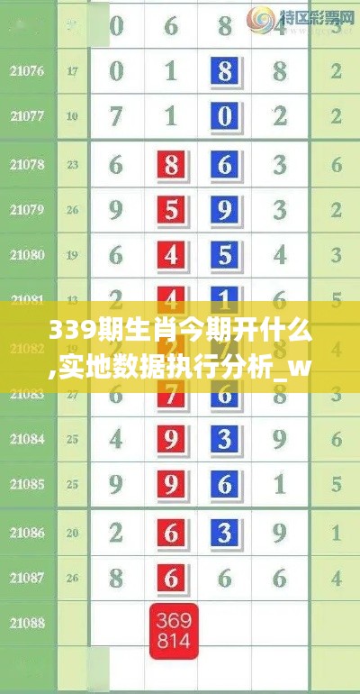 339期生肖今期开什么,实地数据执行分析_watchOS66.148-6