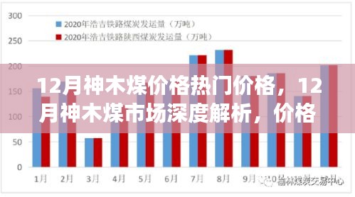 2024年12月4日 第13页