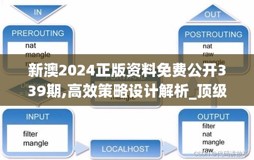 新澳2024正版资料免费公开339期,高效策略设计解析_顶级版60.486-8