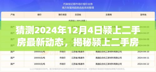 揭秘颍上二手房市场新动态，特色小店与最新房源动态预测（2024年12月4日）