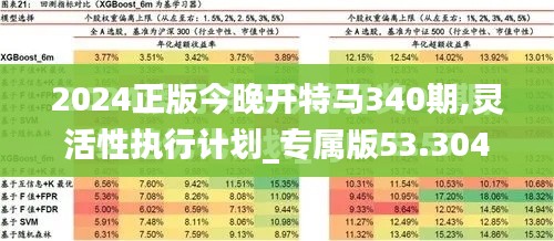 2024正版今晚开特马340期,灵活性执行计划_专属版53.304-8