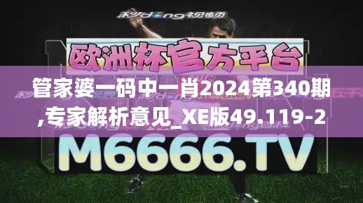 管家婆一码中一肖2024第340期,专家解析意见_XE版49.119-2