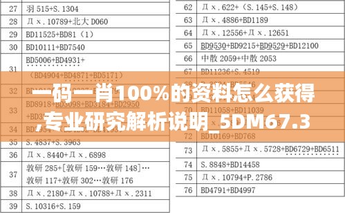 一码一肖100%的资料怎么获得,专业研究解析说明_5DM67.322-2