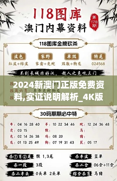 2024新澳门正版免费资料,实证说明解析_4K版65.361-3