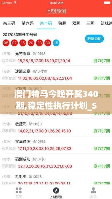 澳门特马今晚开奖340期,稳定性执行计划_SE版3.825-2