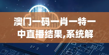 澳门一码一肖一特一中直播结果,系统解答解释定义_安卓款29.427-8