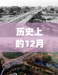 历史上的12月4日鄞州区滨海热门招聘，探秘历史鄞州，滨海巷弄里的秘密招聘与一家特色小店的故事