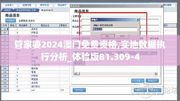 管家婆2024澳门免费资格,实地数据执行分析_体验版81.309-4