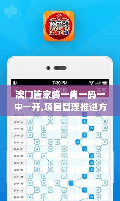 澳门管家婆一肖一码一中一开,项目管理推进方案_手游版43.678-6