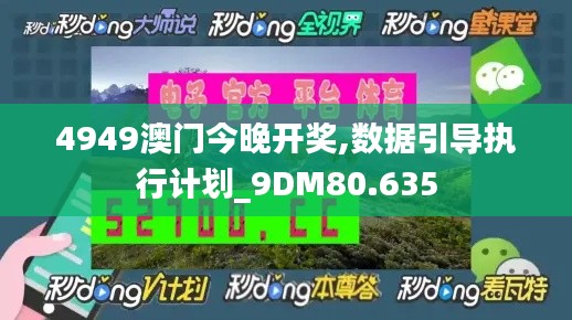 4949澳门今晚开奖,数据引导执行计划_9DM80.635