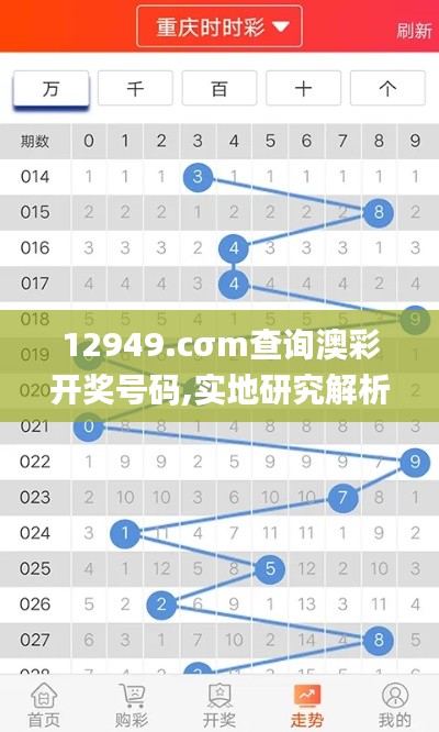 12949.cσm查询澳彩开奖号码,实地研究解析说明_L版7.502