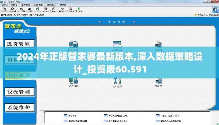 2024年正版管家婆最新版本,深入数据策略设计_投资版60.591