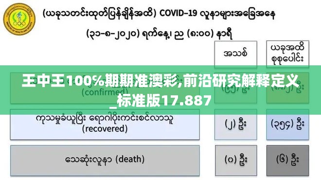 王中王100℅期期准澳彩,前沿研究解释定义_标准版17.887