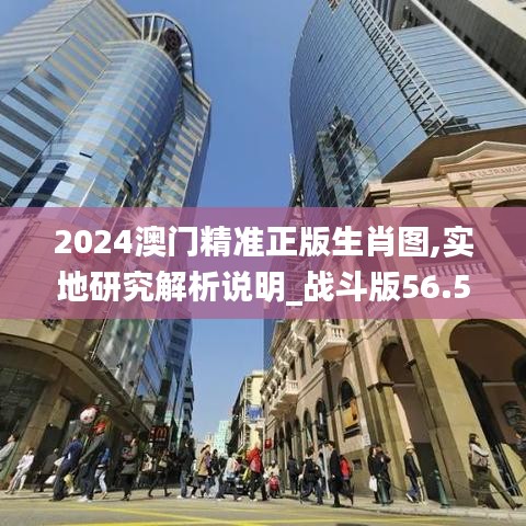 2024澳门精准正版生肖图,实地研究解析说明_战斗版56.578