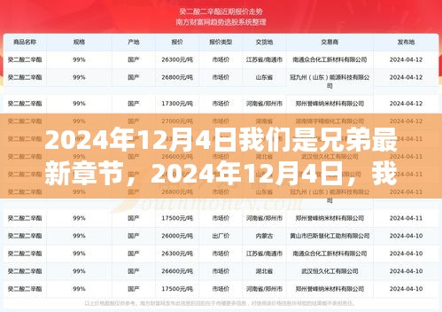 2024年12月4日兄弟情深揭秘，深厚情谊的最新章节