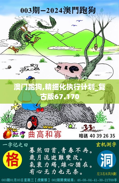 澳门跑狗,精细化执行计划_复古版67.170