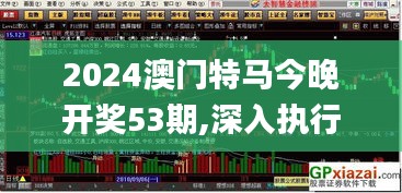 2024澳门特马今晚开奖53期,深入执行方案数据_UHD款92.441