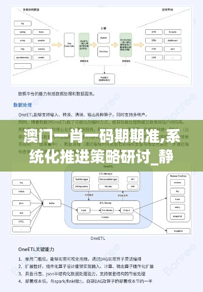 澳门一肖一码期期准,系统化推进策略研讨_静态版97.141