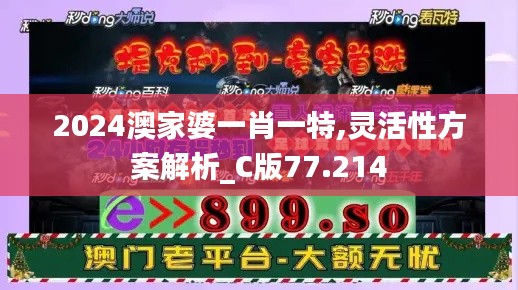 2024澳家婆一肖一特,灵活性方案解析_C版77.214