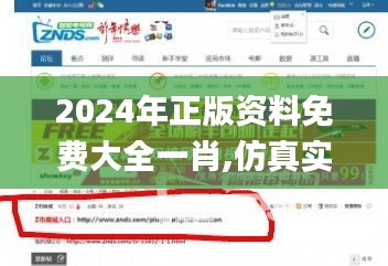 2024年正版资料免费大全一肖,仿真实现方案_Z6.673