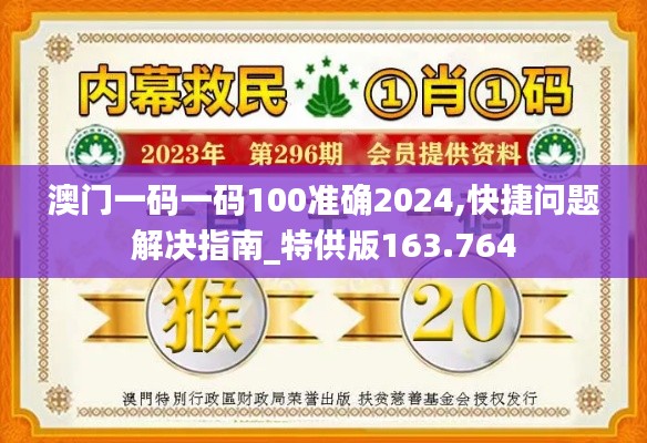 澳门一码一码100准确2024,快捷问题解决指南_特供版163.764