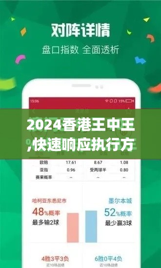 2024香港王中王,快速响应执行方案_专业款12.128