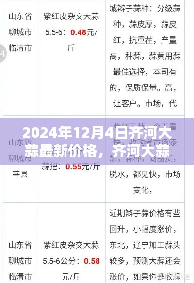 2024年12月4日齐河大蒜最新价格，采购必备技能与查询指南