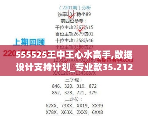 555525王中王心水高手,数据设计支持计划_专业款35.212