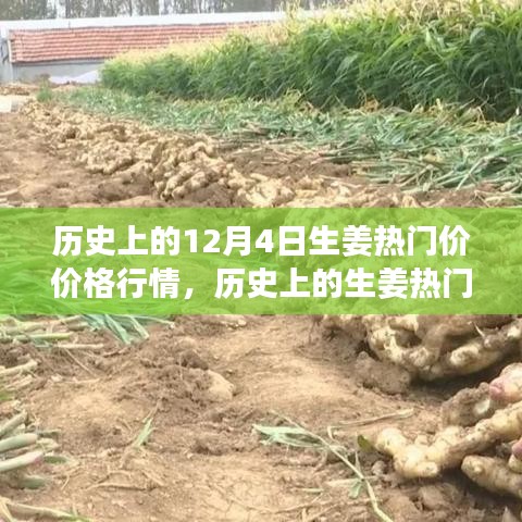 历史上的生姜热门价，行情变迁、故事启示与自信成就梦想之路